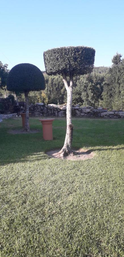 Vivenda Agostinho Ferienhaus Arcos de Valdevez